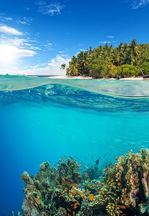 Banana Reef 